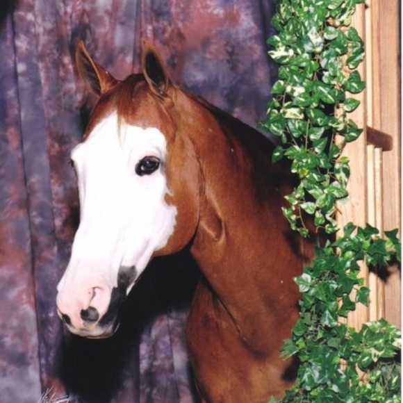 Meet your Posher, Melanie - Picture 1 of 1